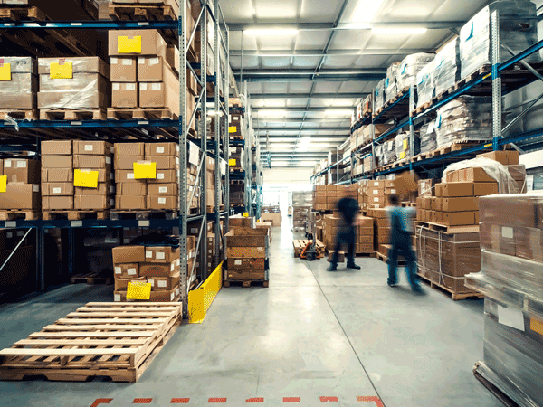 أهمية وظيفة التخزين