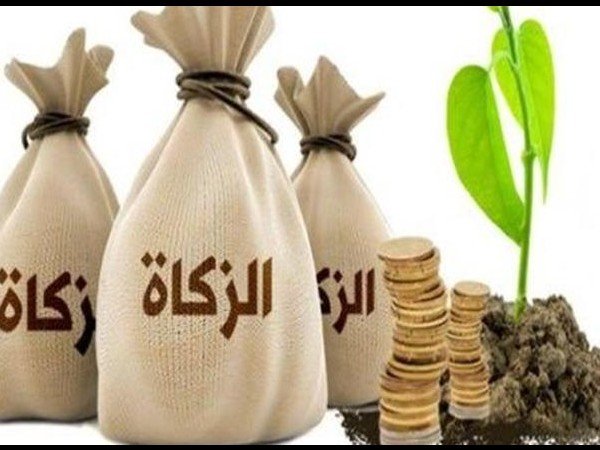أحكـام زكـاة المــال