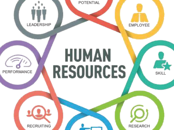 الركائز الأساسية للنظام اليابانى فى إدارة الموارد البشرية