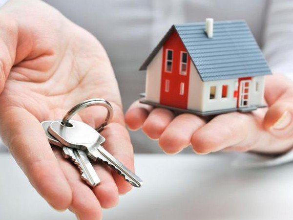 طبيعة عقود تامينات الممتلكات والمسئوليات