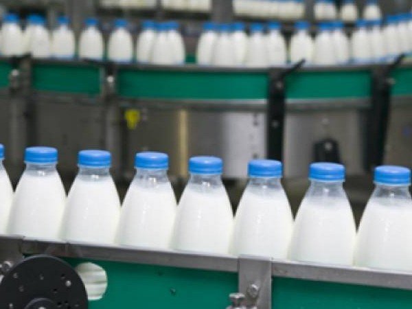 أحكام وحساب زكاة مشروع إنتاج الألبان