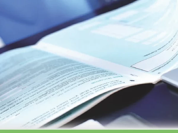 العدد الحادي والثلاثون