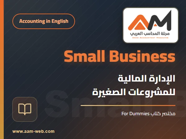 Small Business Financial Management Kit For Bummies