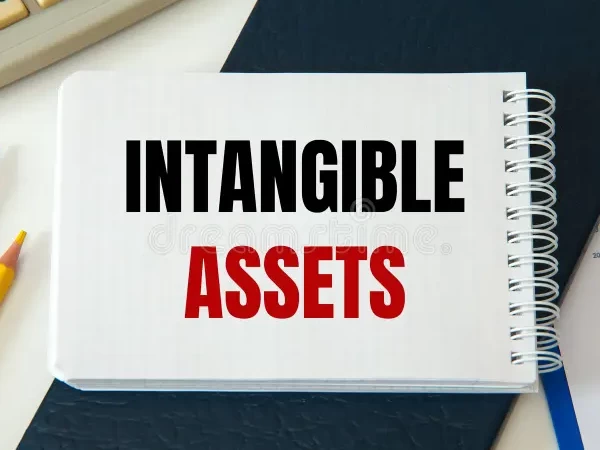 الأصول الثابتة غير الملموسلة
