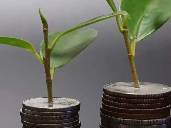 زكاة مكافأة الخدمة والراتب التقاعدي